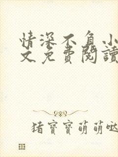 情深不负小说全文免费阅读