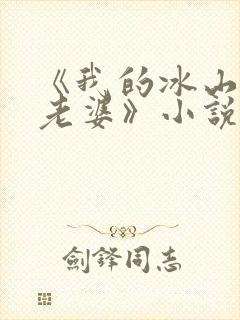 《我的冰山美女老婆》小说