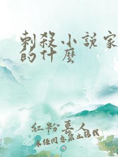 刺杀小说家1讲的什么