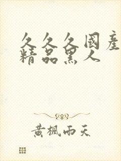 久久久国产亚洲精品黑人