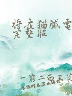 将夜猫腻电子书完整版