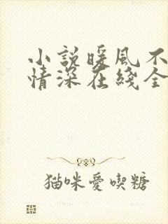 小说暖风不及你情深在线全文免费阅读