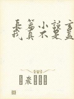 长篇小说玄幻:我真不是盖世高人