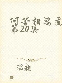 何苦相思煮余年第20集