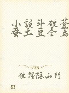 小说斗破苍穹天蚕土豆全篇