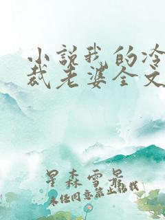 小说我的冷艳总裁老婆全文阅读