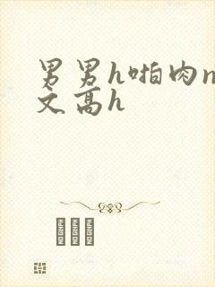 男男h啪肉np文高h