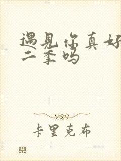 遇见你真好有第二季吗