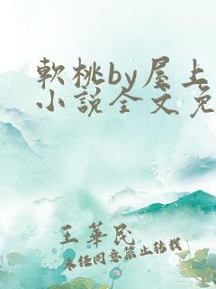 软桃by屋上乌小说全文免费阅读无弹窗笔趣