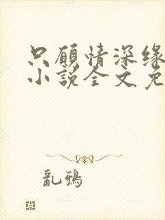 只愿情深缘不浅小说全文免费阅读