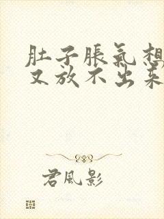 肚子胀气想放屁又放不出来怎么办