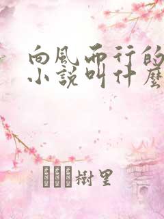 向风而行的原著小说叫什么