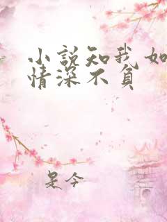 小说知我如你,情深不负