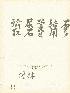 输尿管结石软镜取石费用多少