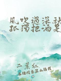 风吹过深秋我与孤独把酒是什么歌