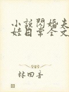 小说闪婚夫妻宠娃日常全文阅读