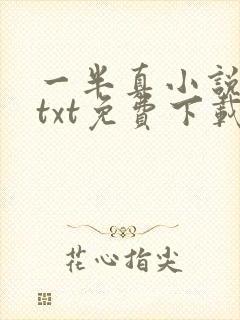 一半真小说全本txt免费下载