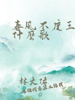 春风不度玉门关什么歌