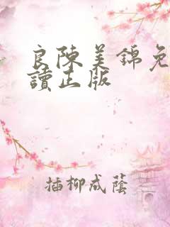 良陈美锦免费阅读正版