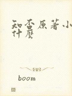 知否原著小说叫什么