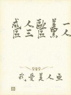 成人欧美一区二区三区黑人免