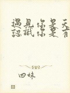 遇见你是天意,认识你是有意