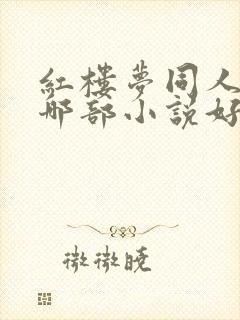 红楼梦同人小说哪部小说好看