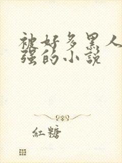 被好多黑人一启强的小说