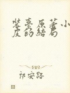 装台原著小说三皮的结局