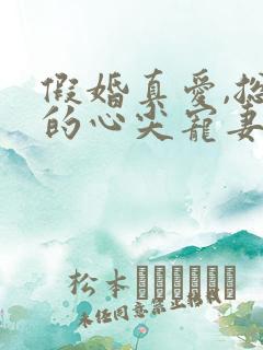 假婚真爱,总裁的心尖宠妻