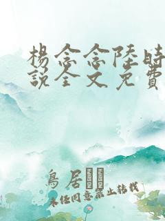 杨念念陆时琛小说全文免费阅读