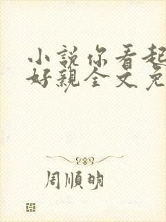 小说你看起来很好亲全文免费阅读