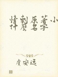 情刺原著小说叫什么名字