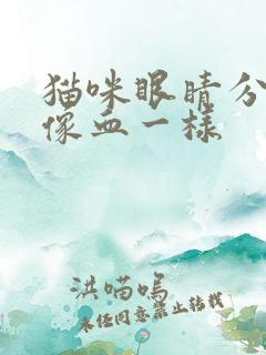 猫咪眼睛分泌物像血一样