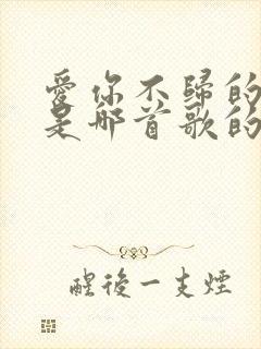 爱你不归的模样是哪首歌的歌词