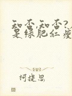 知否,知否?应是绿肥红瘦原著