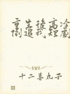 重生后高冷妻子倒追我短剧资源