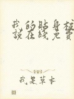 我的贴身校花小说在线免费