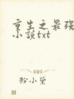 重生之最强人生小说txt