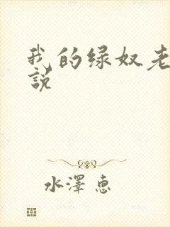 我的绿奴老公小说