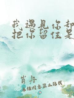 我遇见你却没能把你留住是什么歌