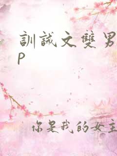 训诫文双男主sp