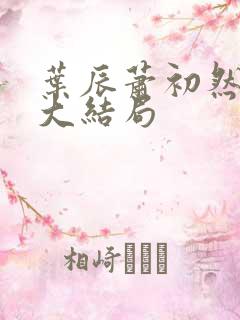 叶辰萧初然完结大结局