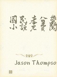 国民老公带回家小说免费阅读无弹窗