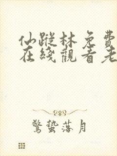 仙踪林免费入口在线观看老狼