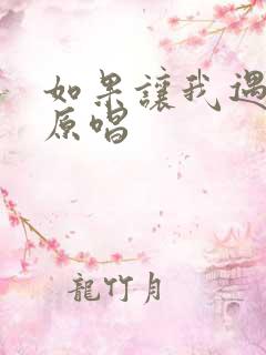 如果让我遇见你原唱