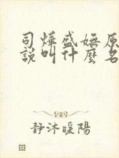 司烨盛妩原著小说叫什么名字