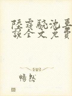 陆霆骁沈嘉禾小说全文免费阅读最新章节