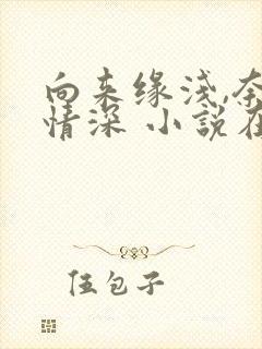 向来缘浅,奈何情深 小说在线