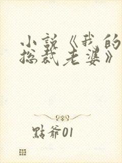 小说《我的冰山总裁老婆》